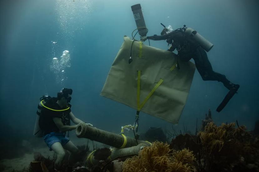 A new underwater museum can be accessed by snorkeling or scuba diving © Indiana University Center for Underwater Science