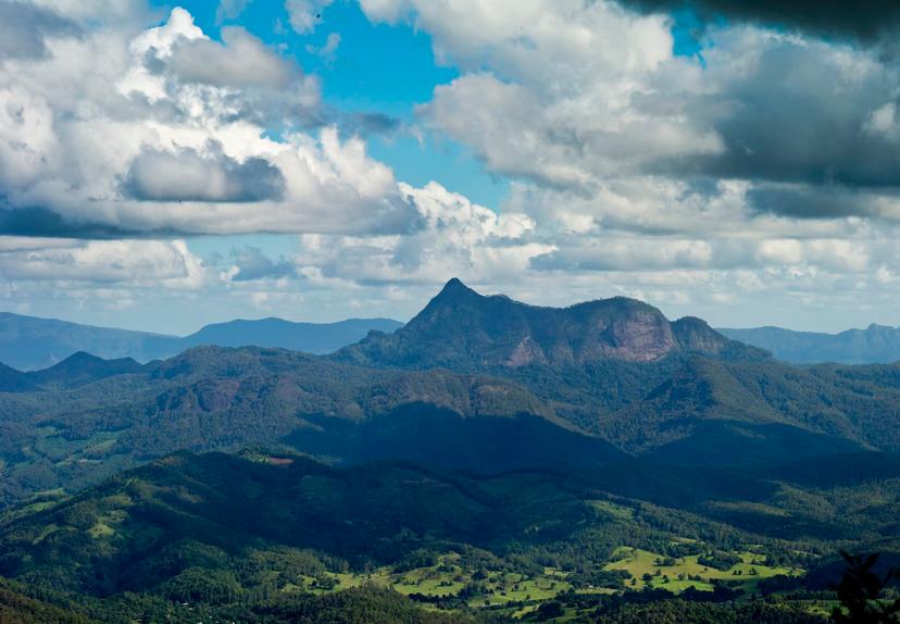 Mount Warning in Wollumbin National Park, from the Best of All Lookout in Springbrook National Park, Queensland, Australia – RM