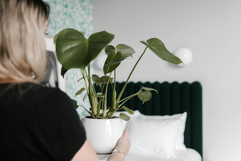 A woman holding a plant in a room at the Woodlark hotel in Portland, Oregon