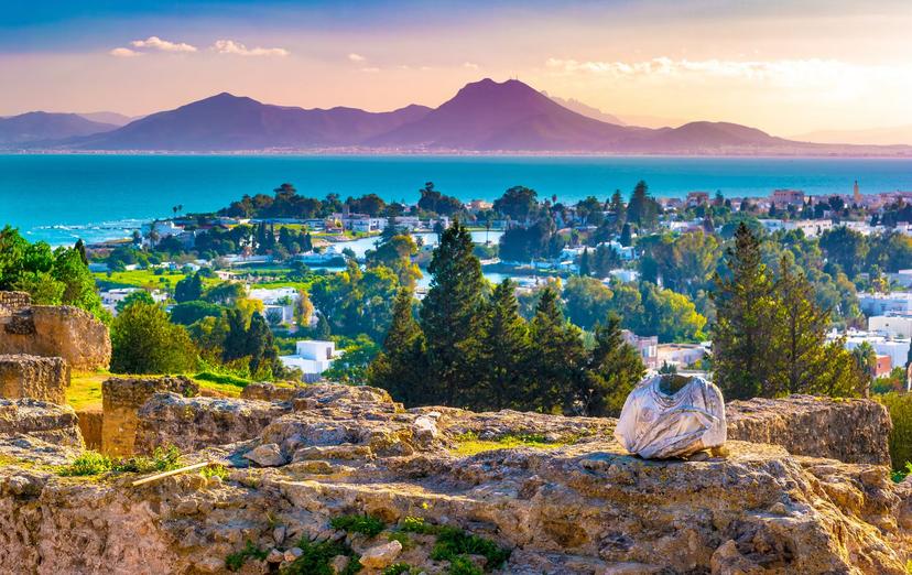 The view over Carthage from Byrsa Hill is well worth the climb © Romas_Photo / Shutterstock
