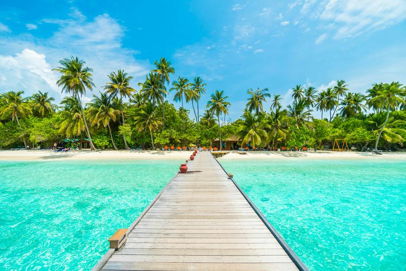 Although remote, the Maldives have proven popular in Google searches in 2019 © Food Travel Stockforlife / Shutterstock