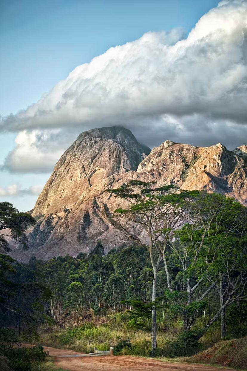 Mt Mulanje rising dramatically above the plains of southern Malawi © Jonathan Gregson / Lonely Planet
