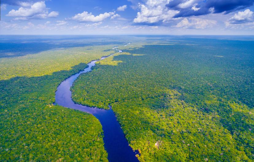 The Amazon rainforest is facing devastation – here's how travelers can help © worldclassphoto / Shutterstock
