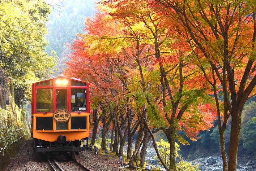 A new wider-access unlimited rail pass makes it easier than ever to visit Kansai’s top sites 